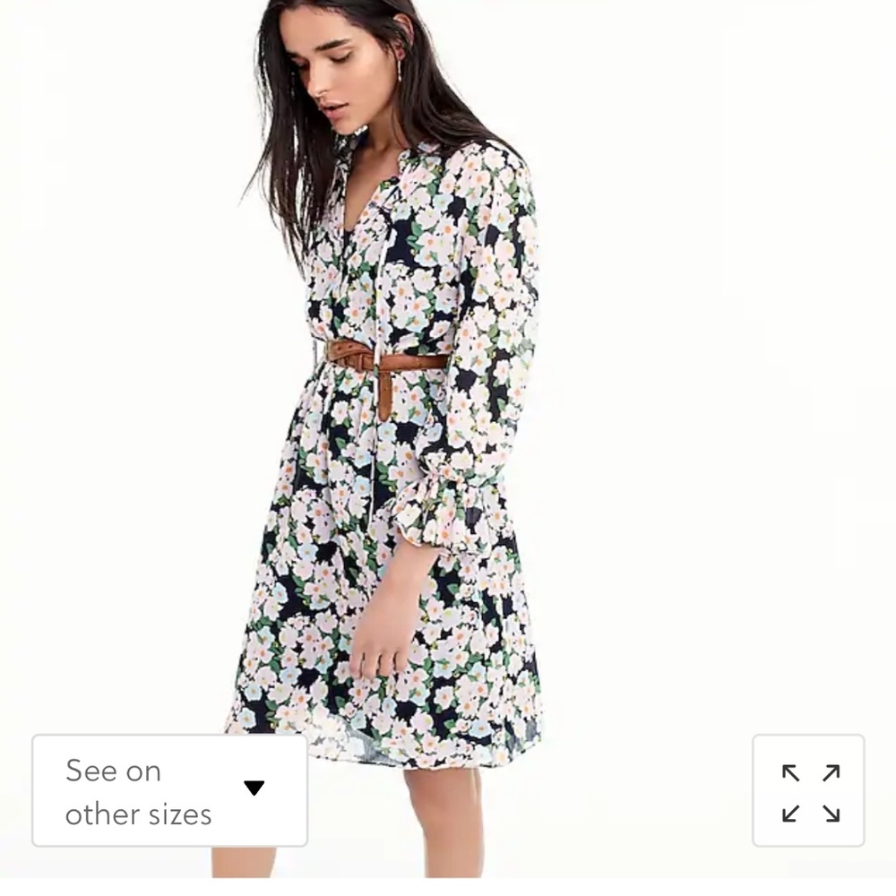 J Crew Drapey Tie front dress